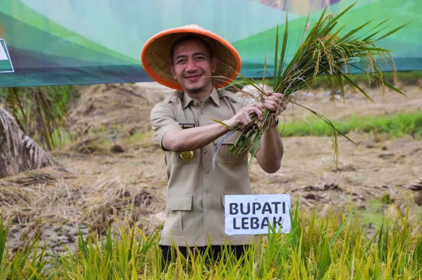 Gerakan Panen Raya, Bupati Dorong Petani Manfaatkan Program Pemerintah