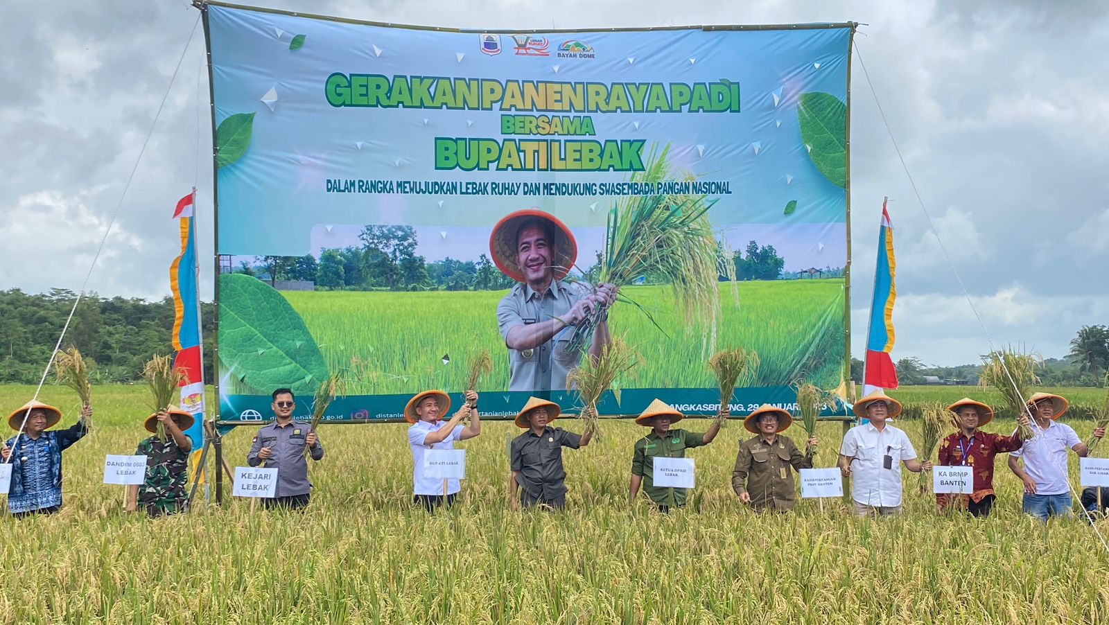Bupati Hadiri Panen Raya Padi Desa Sukamanah